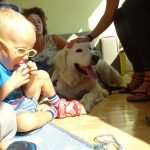 Animaloterapia
