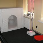 KONICA MINOLTA DIGITAL CAMERA