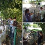 Wycieczka klas czwartych do ,,  Lolek i Bolek- Ośrodek Hipoterapii i Rekreacji Konnej „