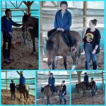 Zajęcia hipoterapii 🥰🐎🌞