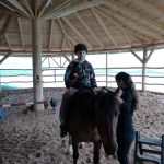 Hipoterapia 🐎🐎