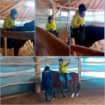 Hipoterapia 🐎🙂