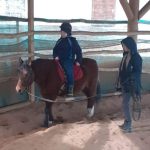 Hipoterapia 🐴🐎