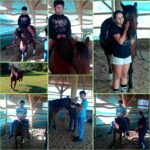 Hipoterapia 🐴🐴🐴