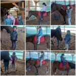 Hipoterapia 🐴🐎