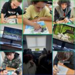 Światowy Dzień Mokradeł – film i zajęcia edukacyjne 🦆🦢🐸 #WodyPolskie