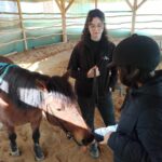 Hipoterapia🐴🐴