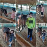 Hipoterapia 🐴🐎