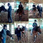 Hipoterapia 🥰🐎