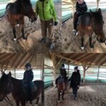 Hipoterapia 🐴🐎