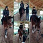 Hipoterapia 🐎🐎